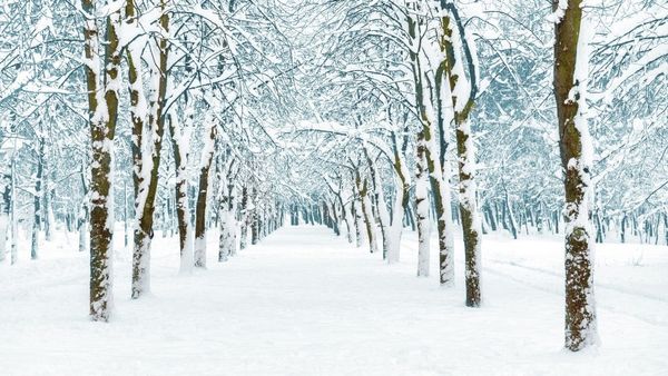 5 conseils pour bien photographier la neige